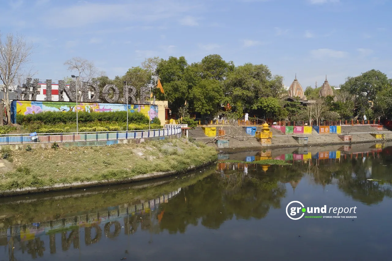 Indore lake tree 2