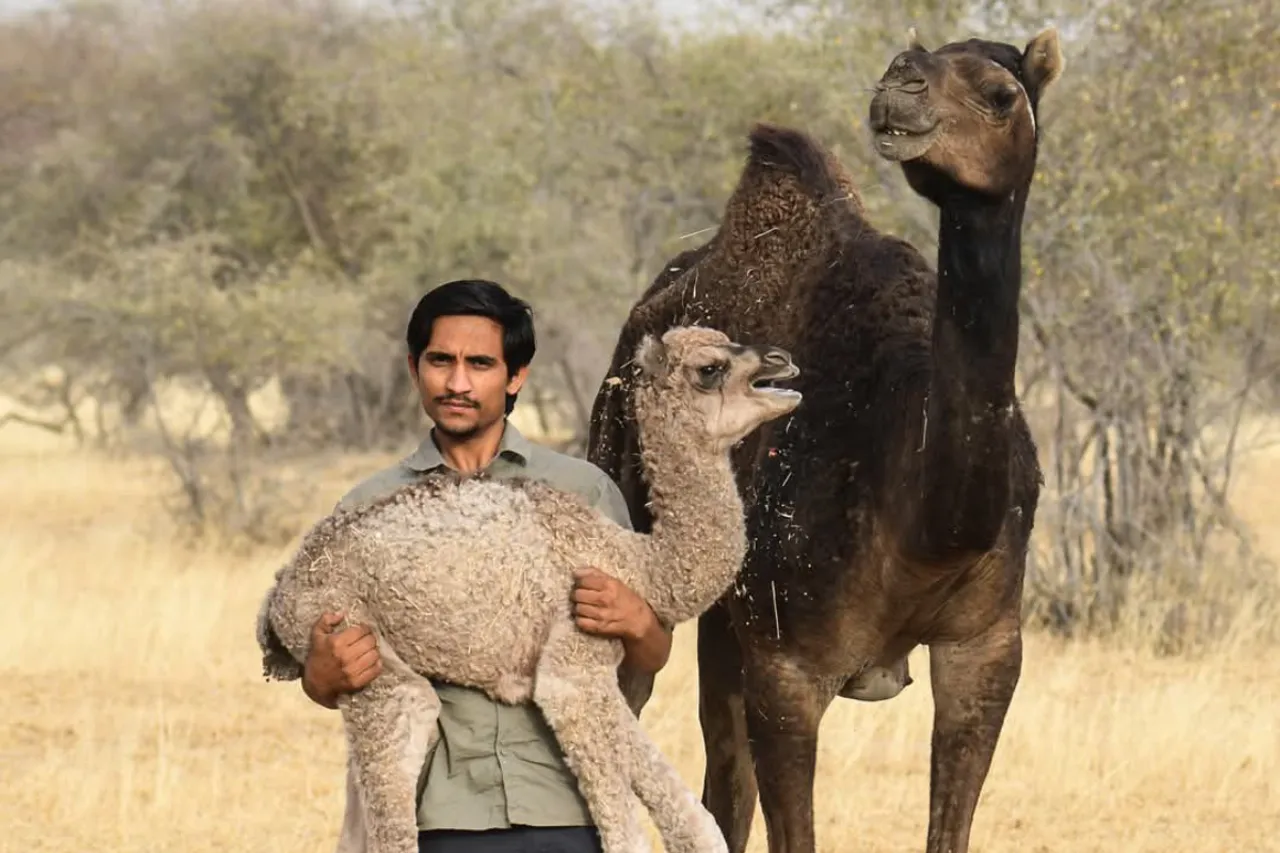 radheshyam-bishnoi-wildlife-conservation