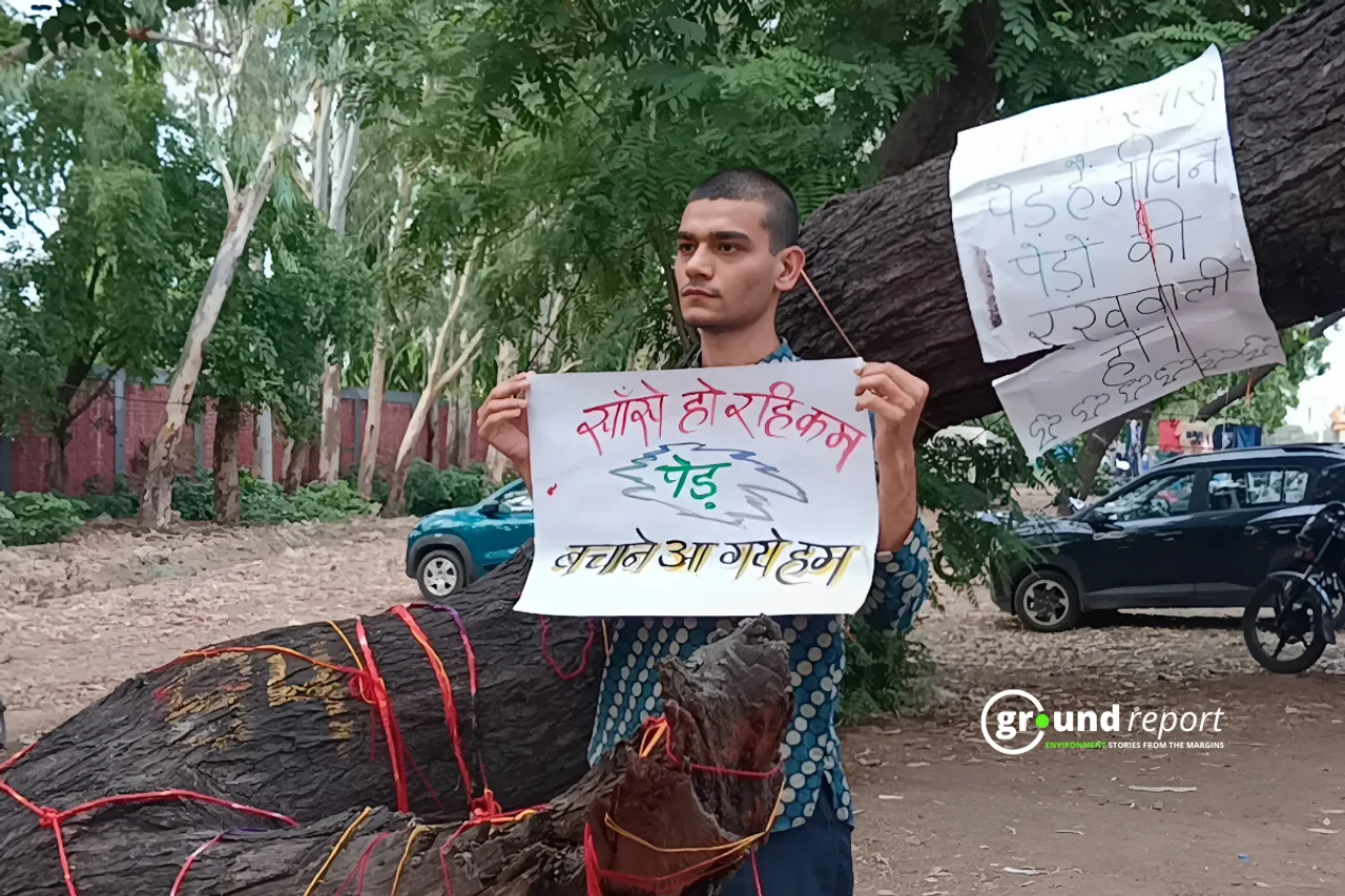 zeeshan ali siddiqui bhopal tree