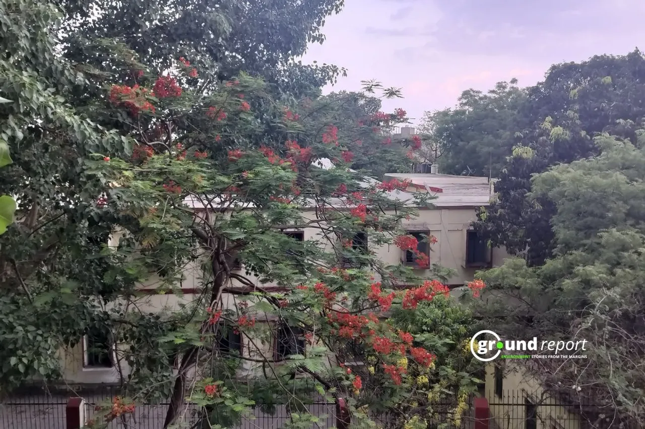 Cloudy skies over Bhopal city with light rain forecast
