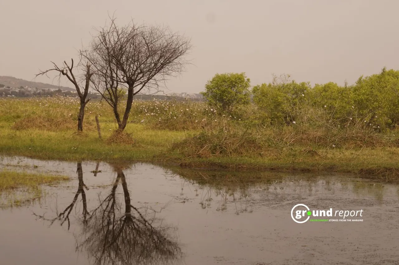 How can Bhoj wetland address the issue of microplastics9101112