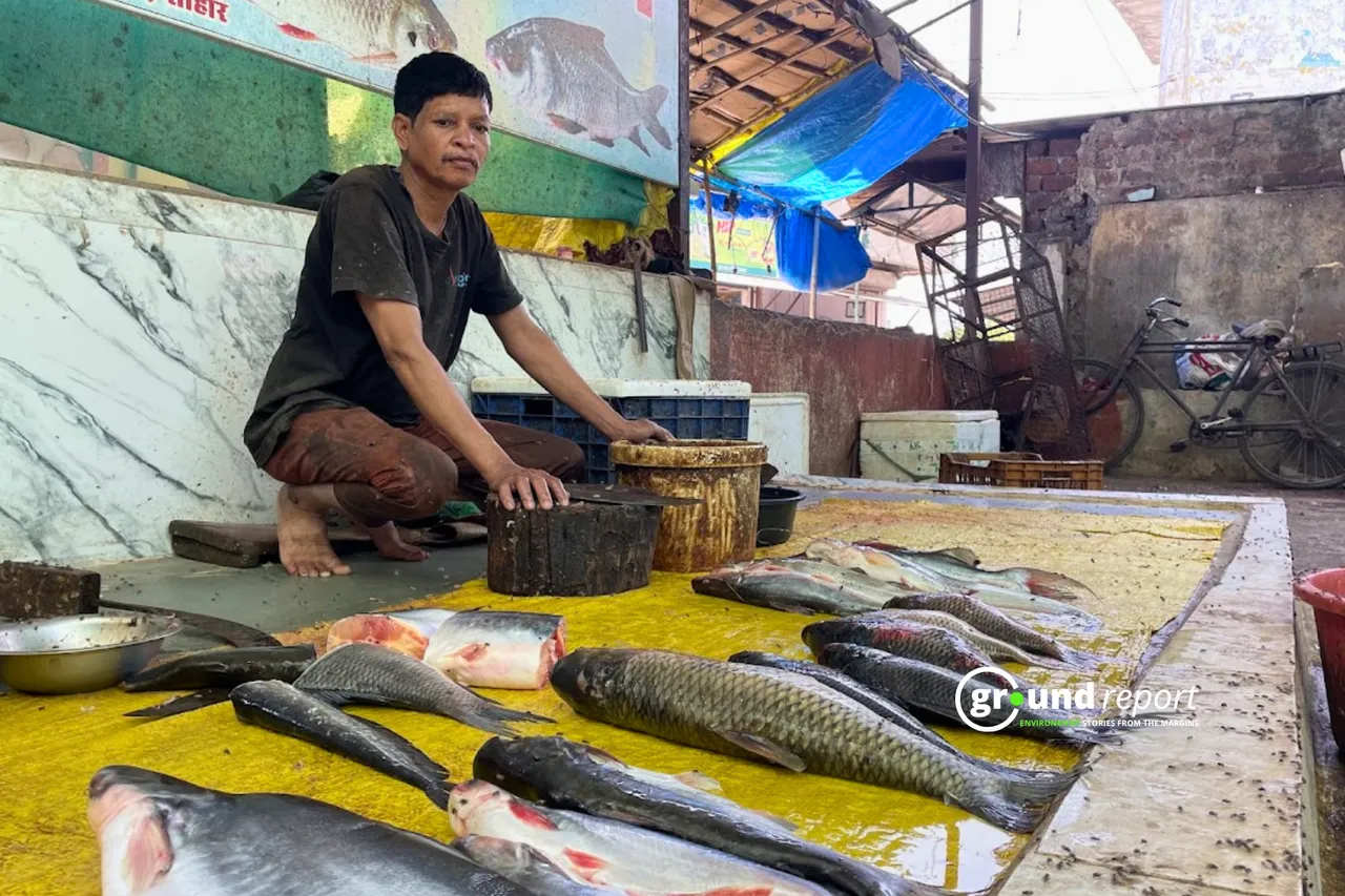 Golu Anil Raikwar's brother selling fish at the fish market in Sehore. He repeatedly shoos away the flies sitting on the fish with the help of water.