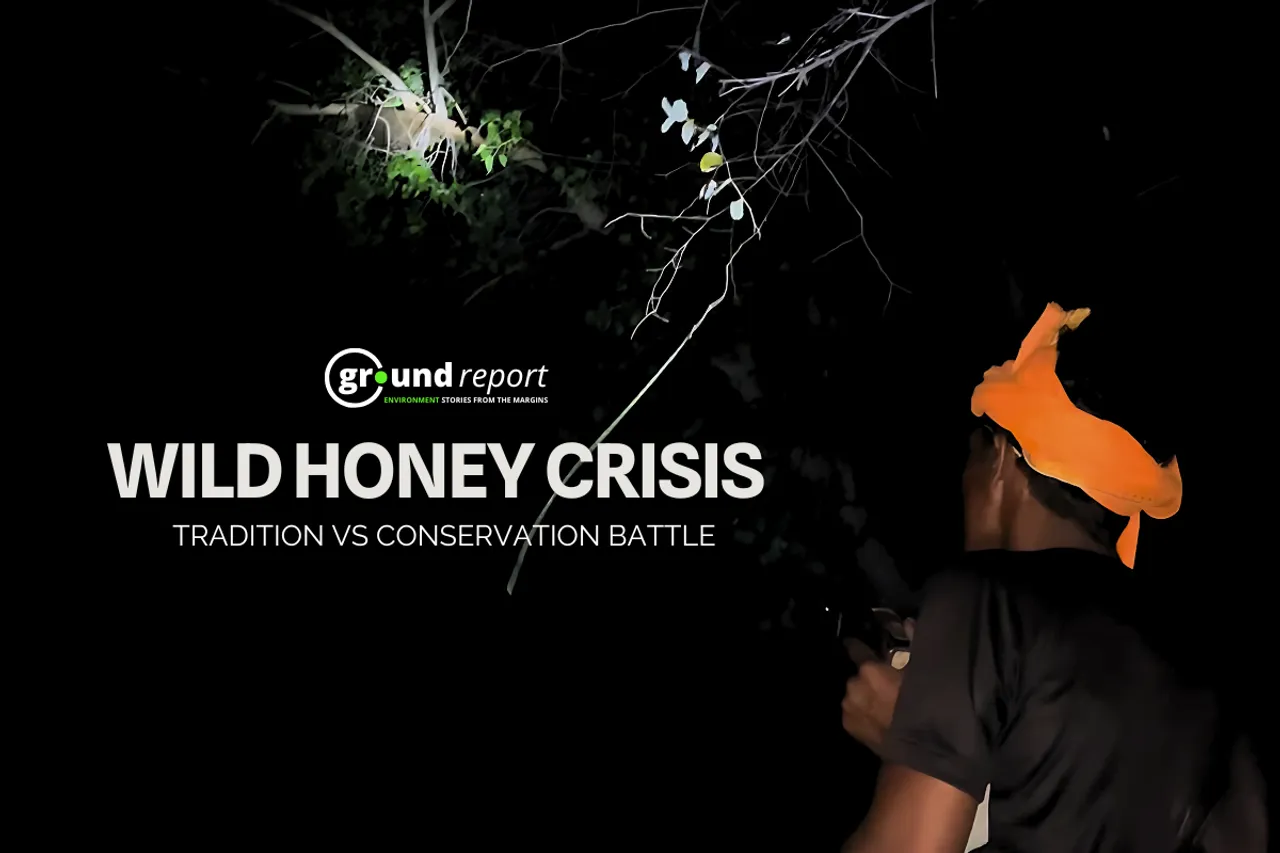 honey web