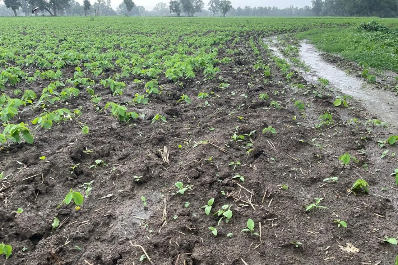 Madhya Pradesh Sees 47% More Rainfall Than Normal This Season