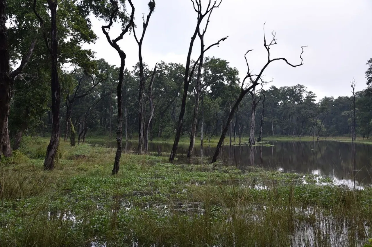 How Terai-Duar areas are different from wetland and grasslands?