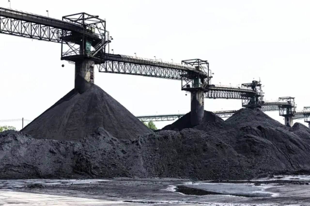 Know organisation which alleges Adani group of Coal Scam