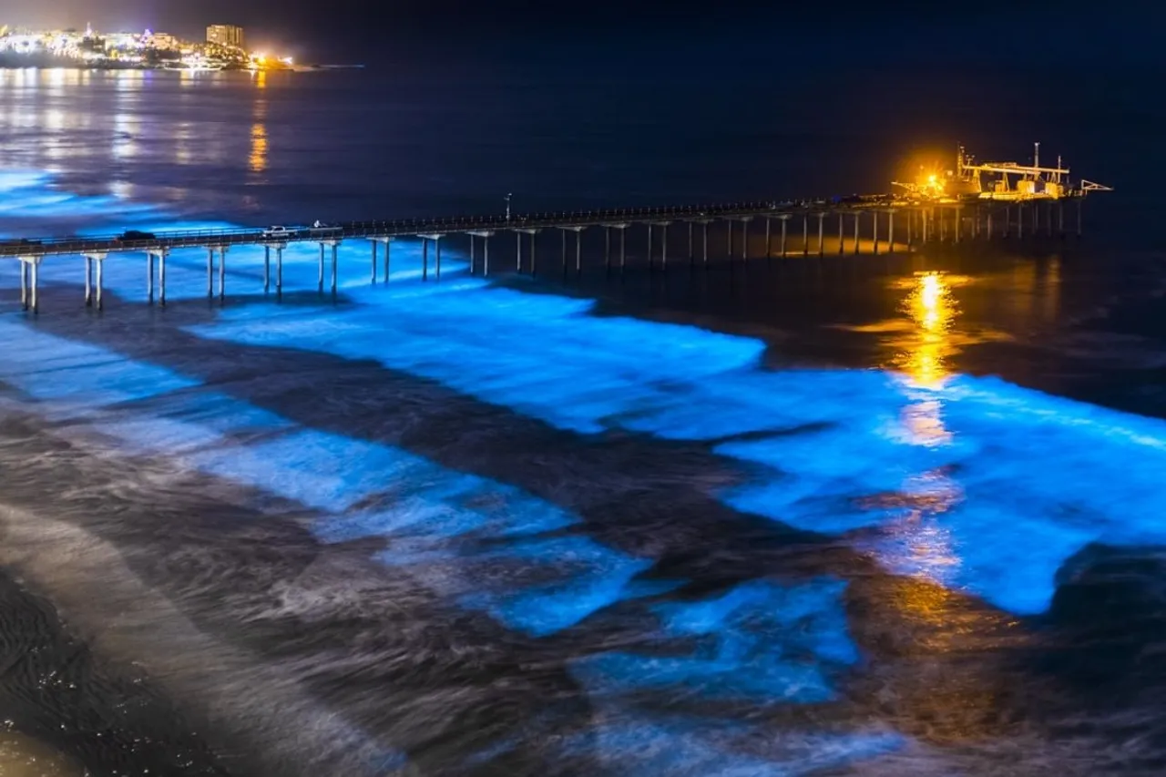 Thiruvanmiyur Beach, Tamil Nadu