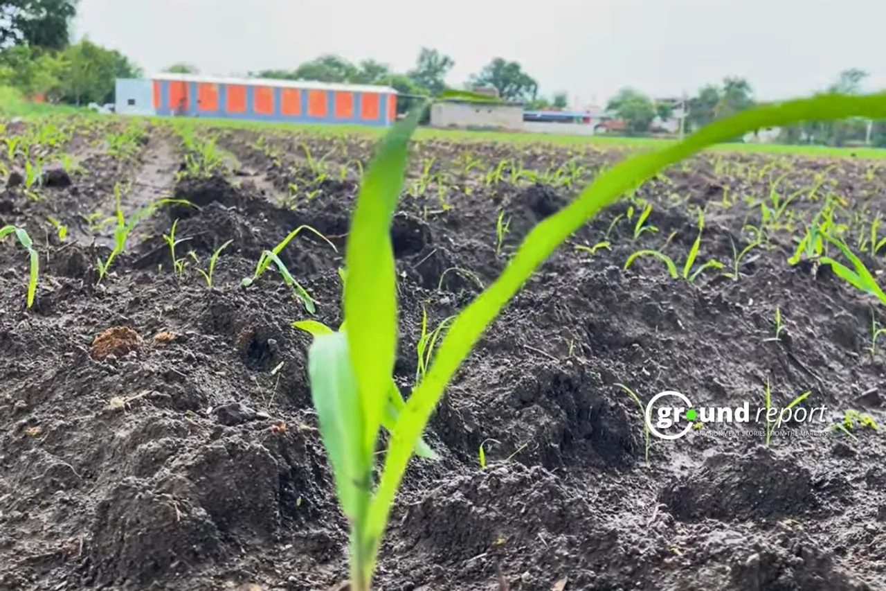 Agriculture in India