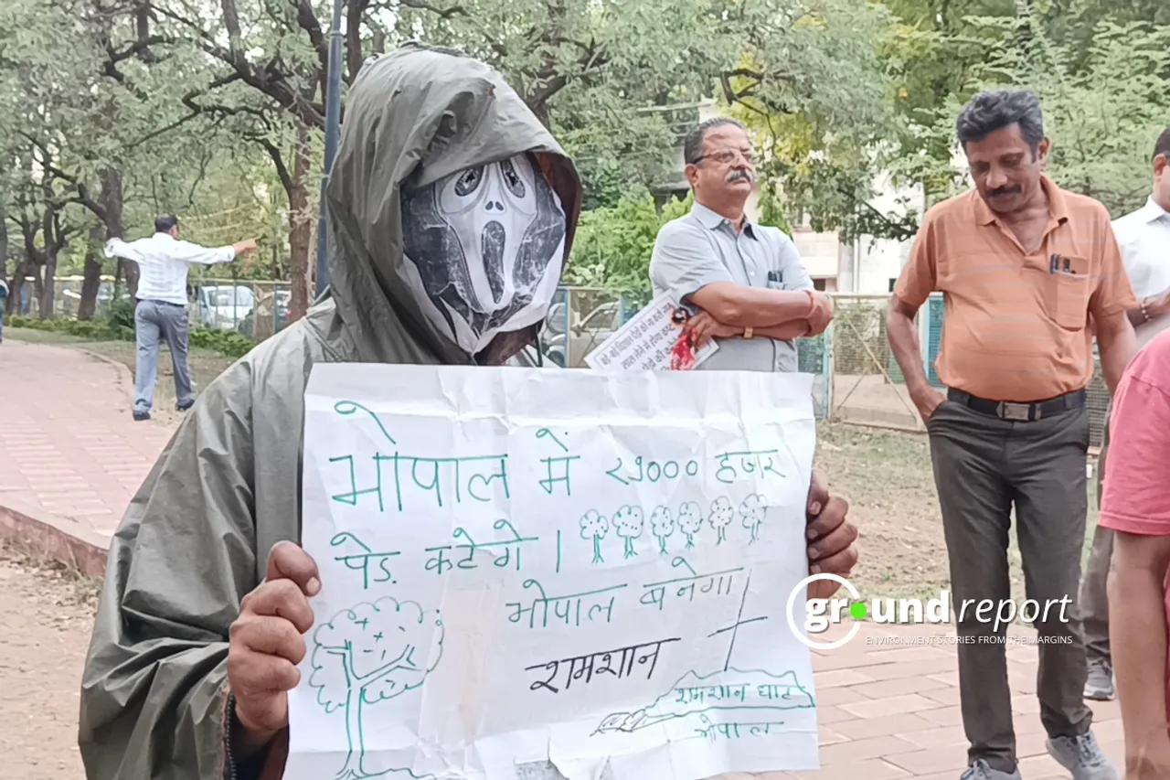 29000 tree cut in bhopal