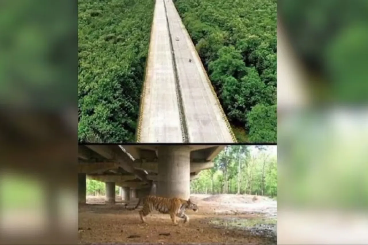built through tiger reserve
