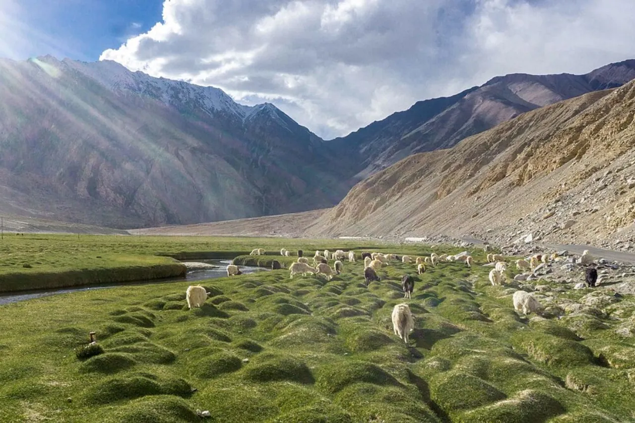 Story of Reclaiming Ladakh's Nubra Valley