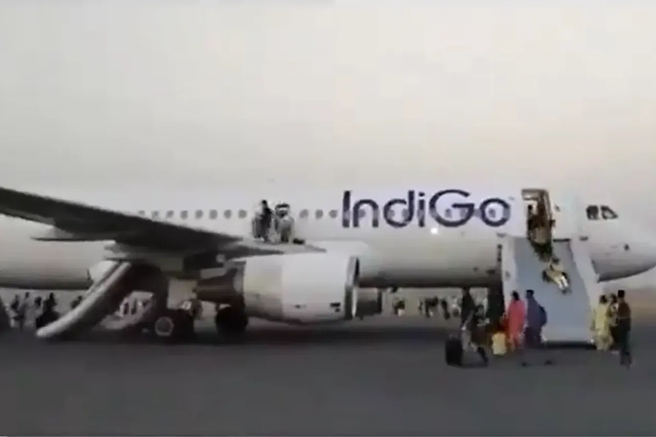indigo