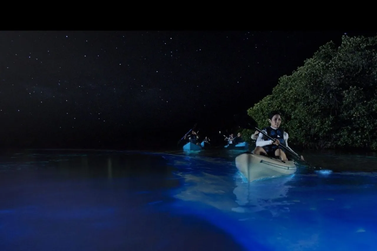 Havelock Island, Andaman Islands Bioluminescence