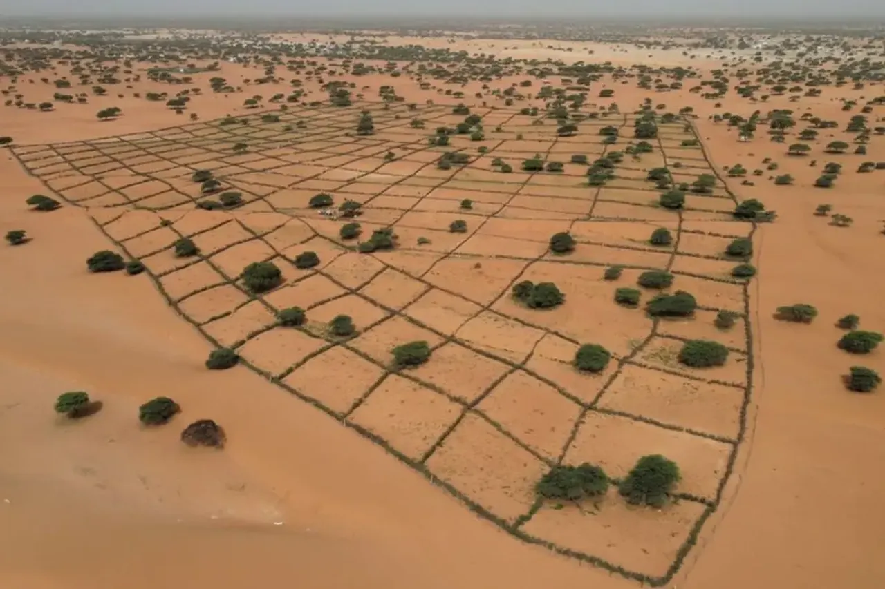 land
