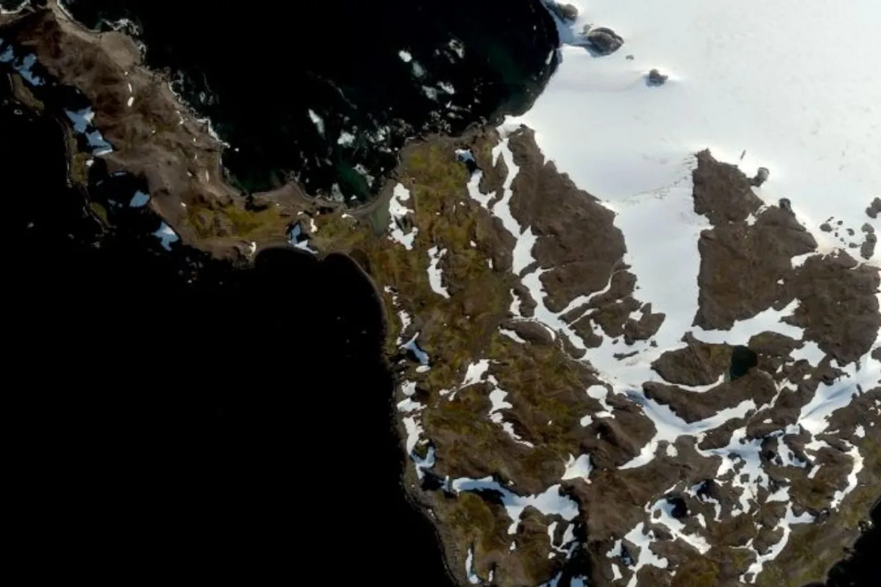 Antarctica is turning green12