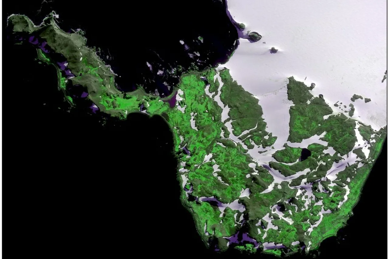 Antarctica is turning green123