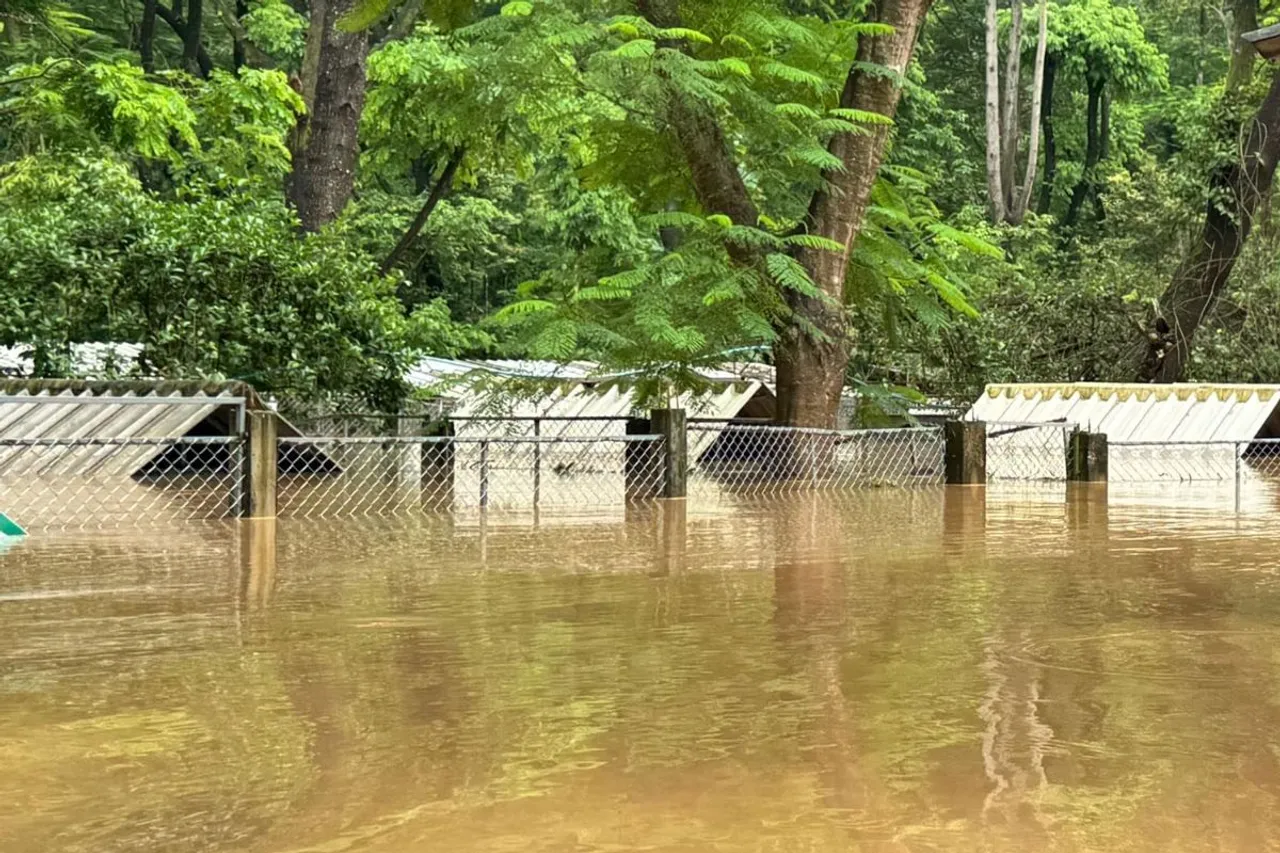 Massive flood hits Chiang Mai in Thailand123455
