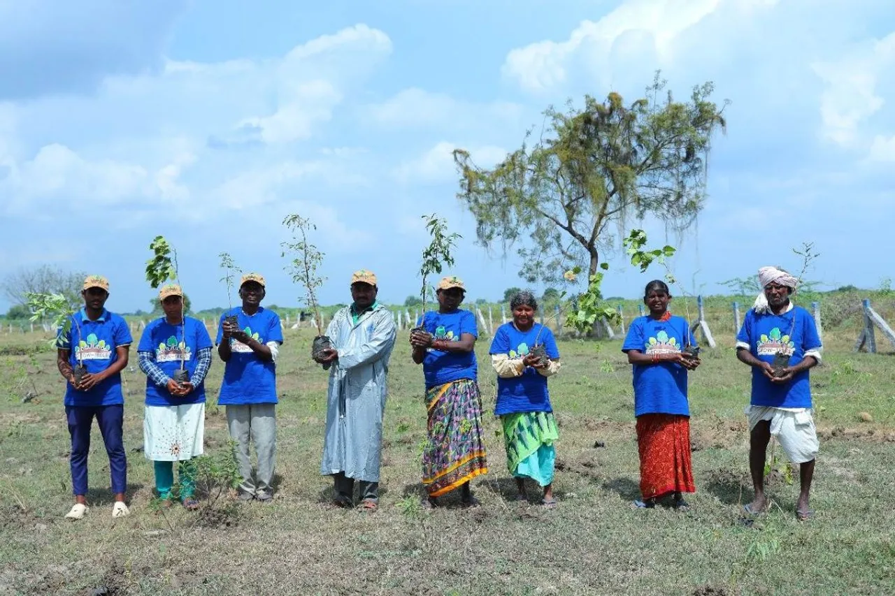 Greening Blockchain: Planting Trees to Offset Environmental Costs