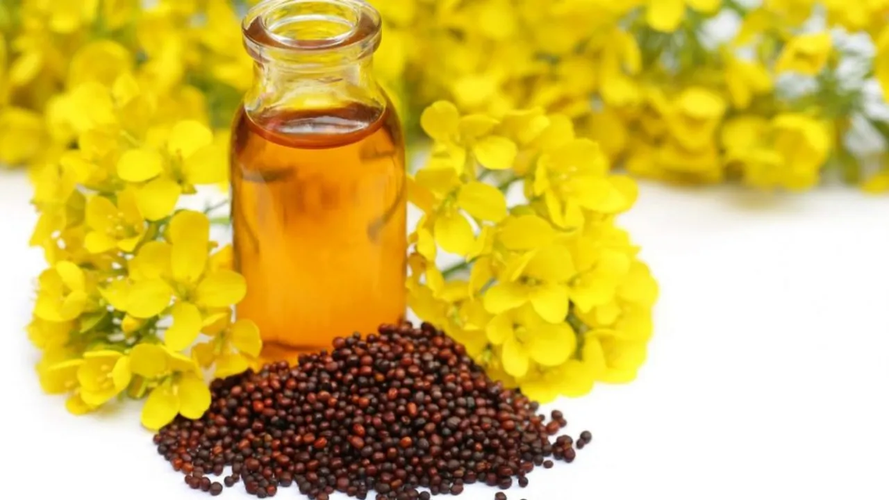 Why edible oil price surging in India? Know the Reason