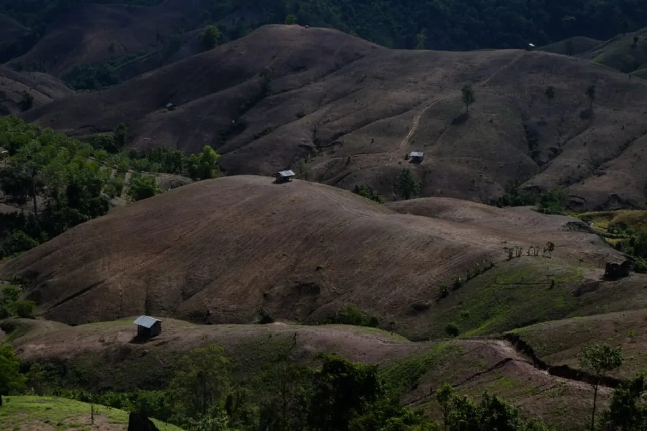 deforestation