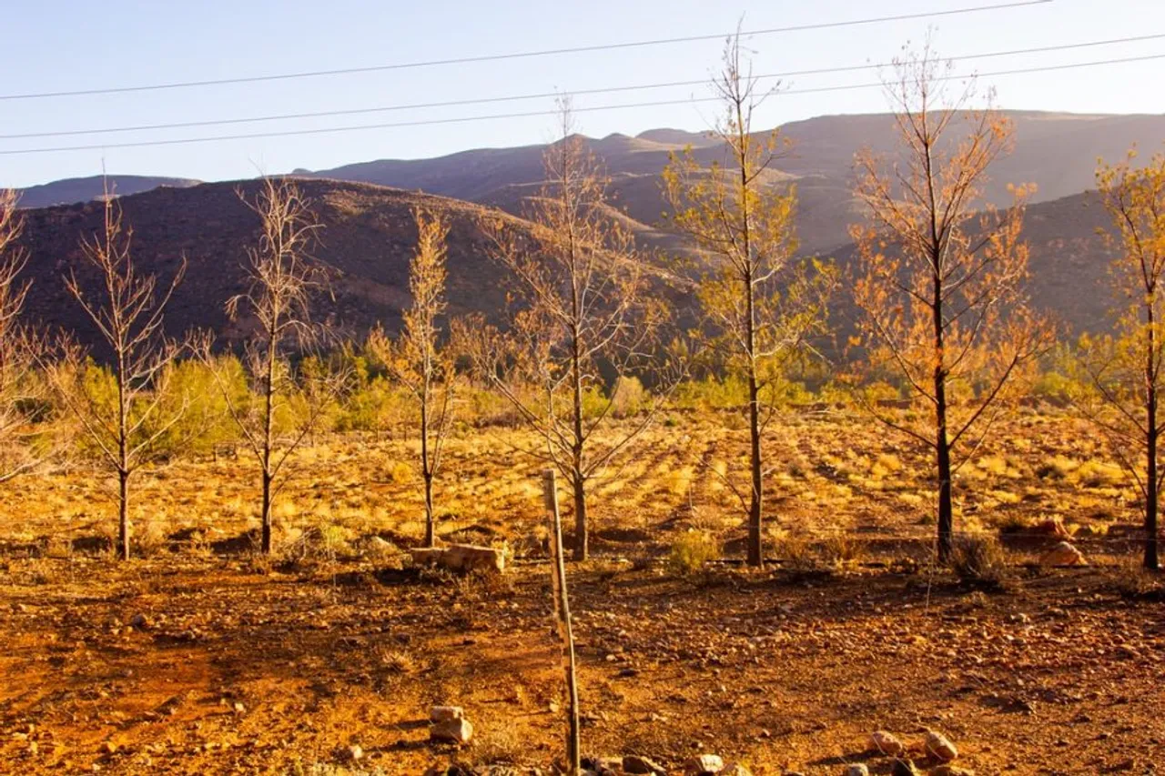 21% of India is under threat of drought