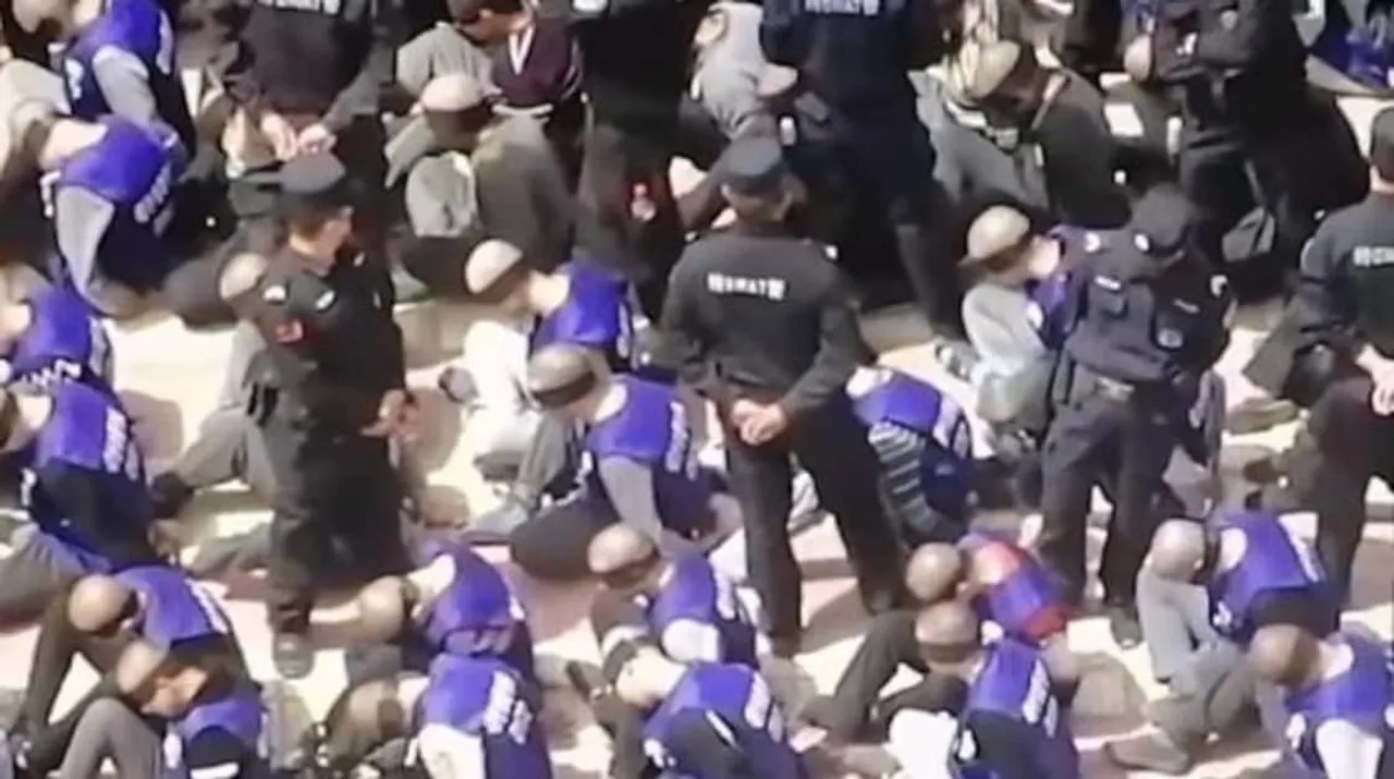Liver on Sale: China harvested organs of Uyghur Muslims: report