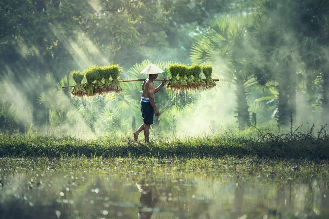 PM Kisan Yojna: What is New Rule to check balance Status?