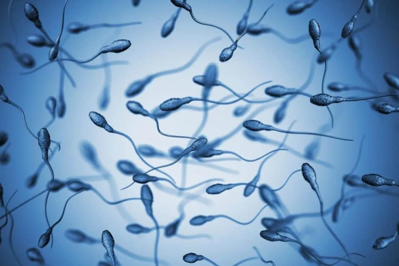 Do the sperms of Young boys stay alive even after death