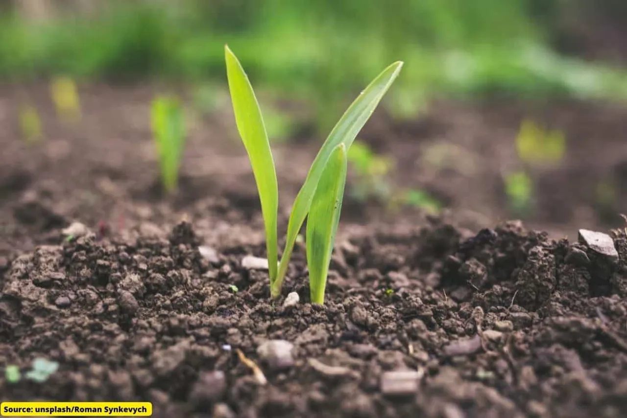Climate change is already taking its toll on agriculture in India