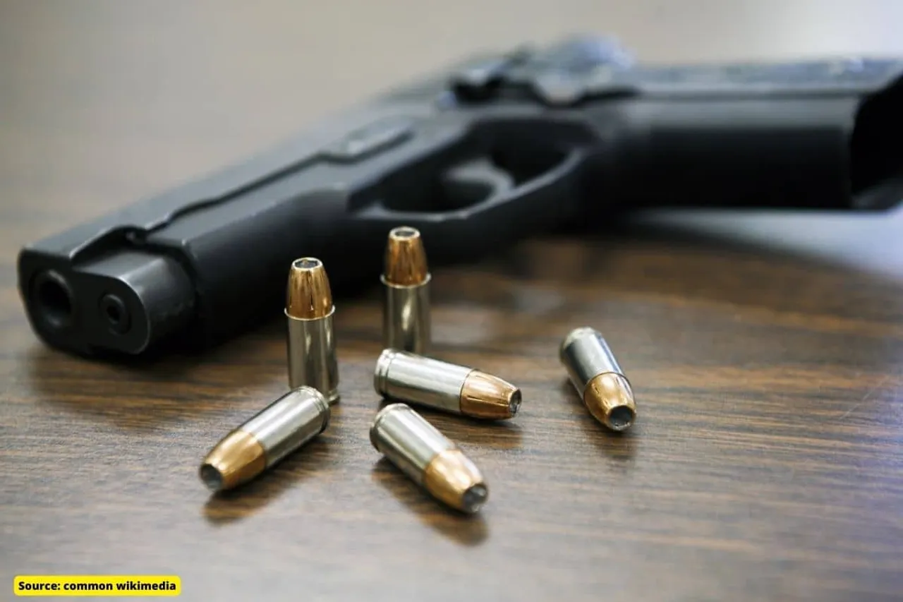 Gun Rights in US: Even Dildos are more regulated than Guns