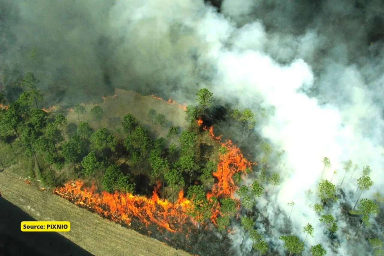 Number of wildfires forecast to rise by 14% by 2030