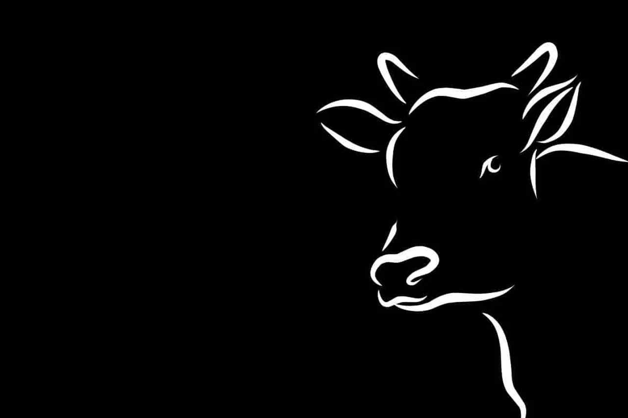 man rapes cow in gwalior