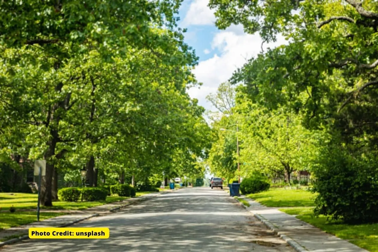 How Climate change threatens survival of urban trees?