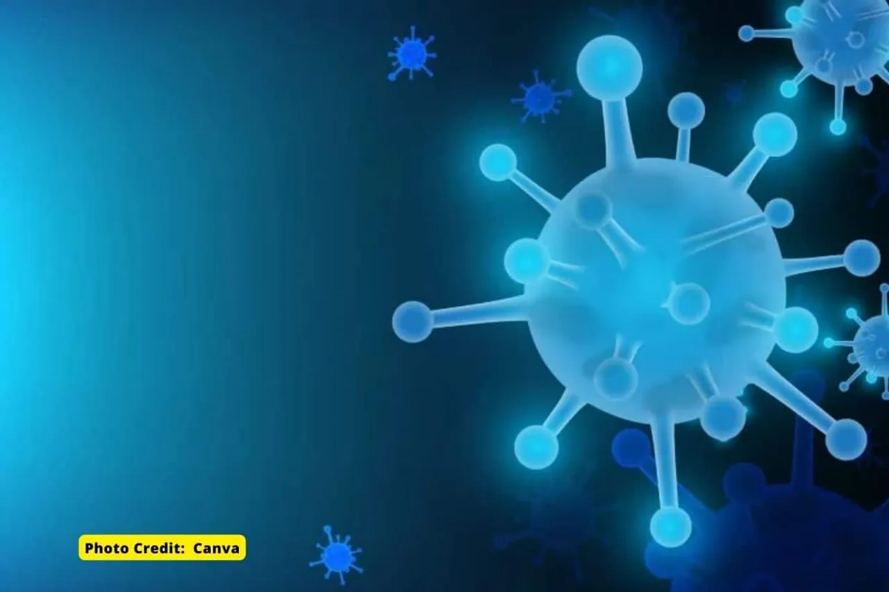 Non-communicable diseases kill 12 people every minute in India