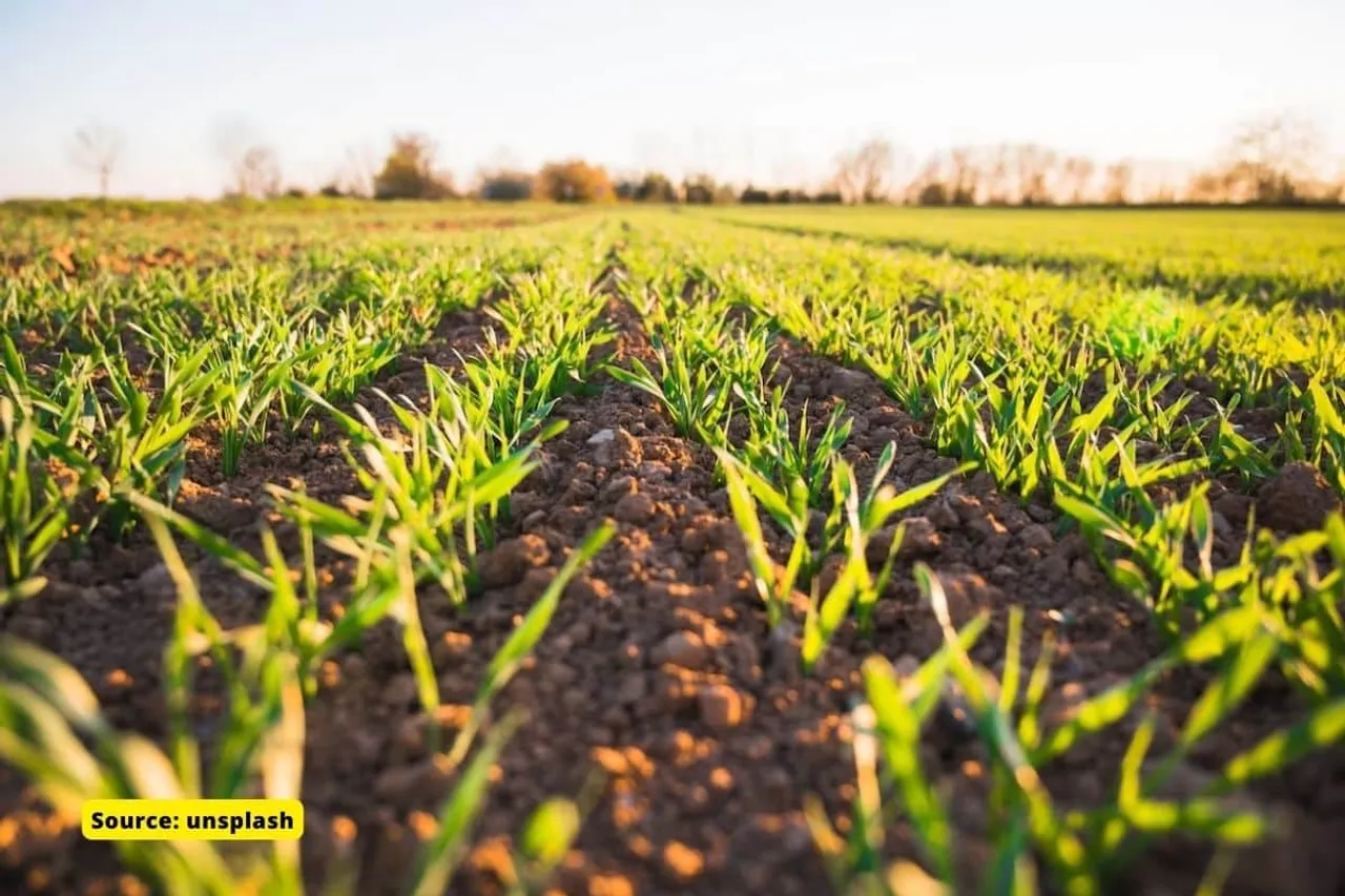 Global warming will reduce world agricultural production by 30%
