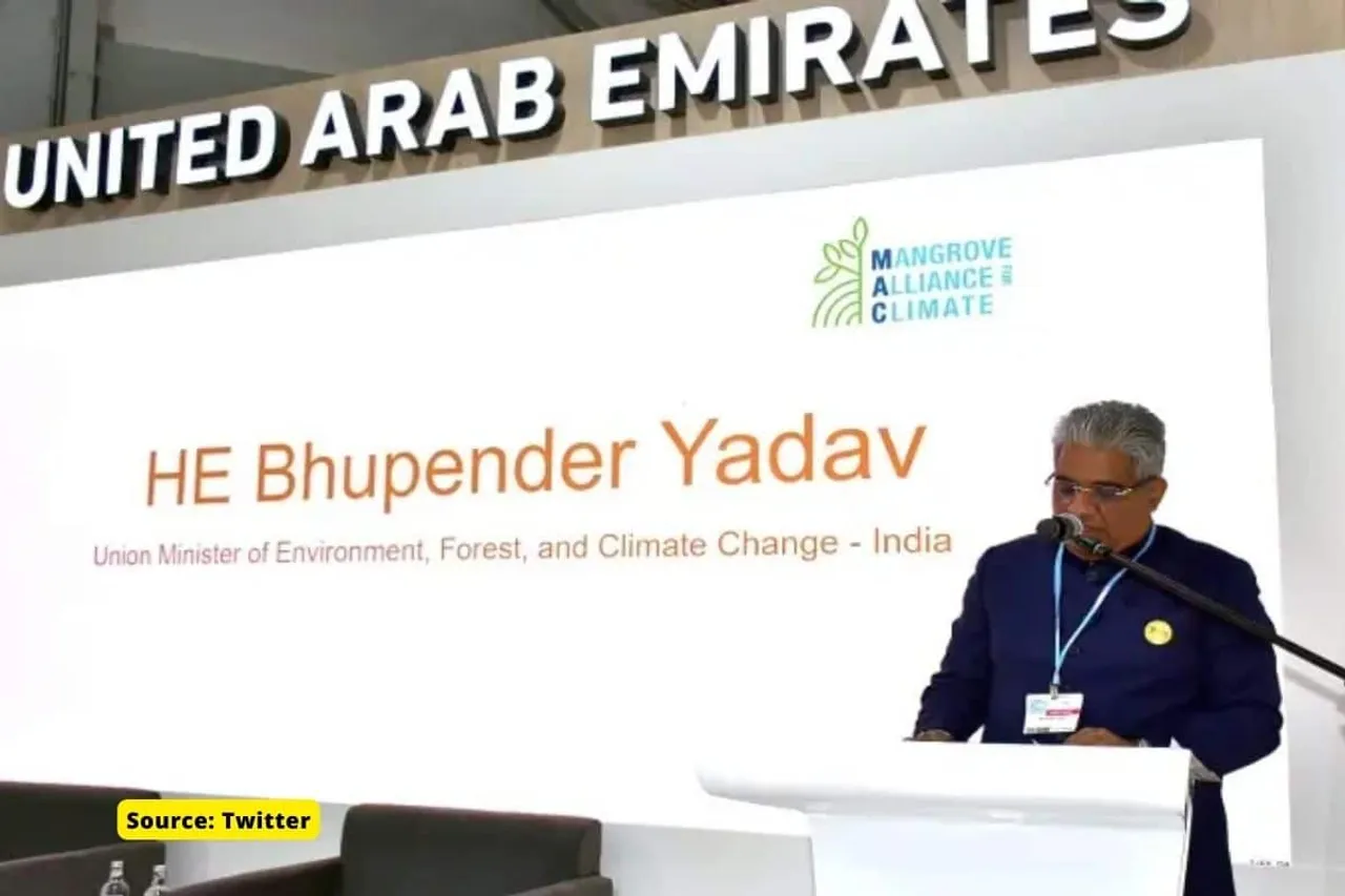 COP27: What is Mangrove Alliance for Climate, which India joined?