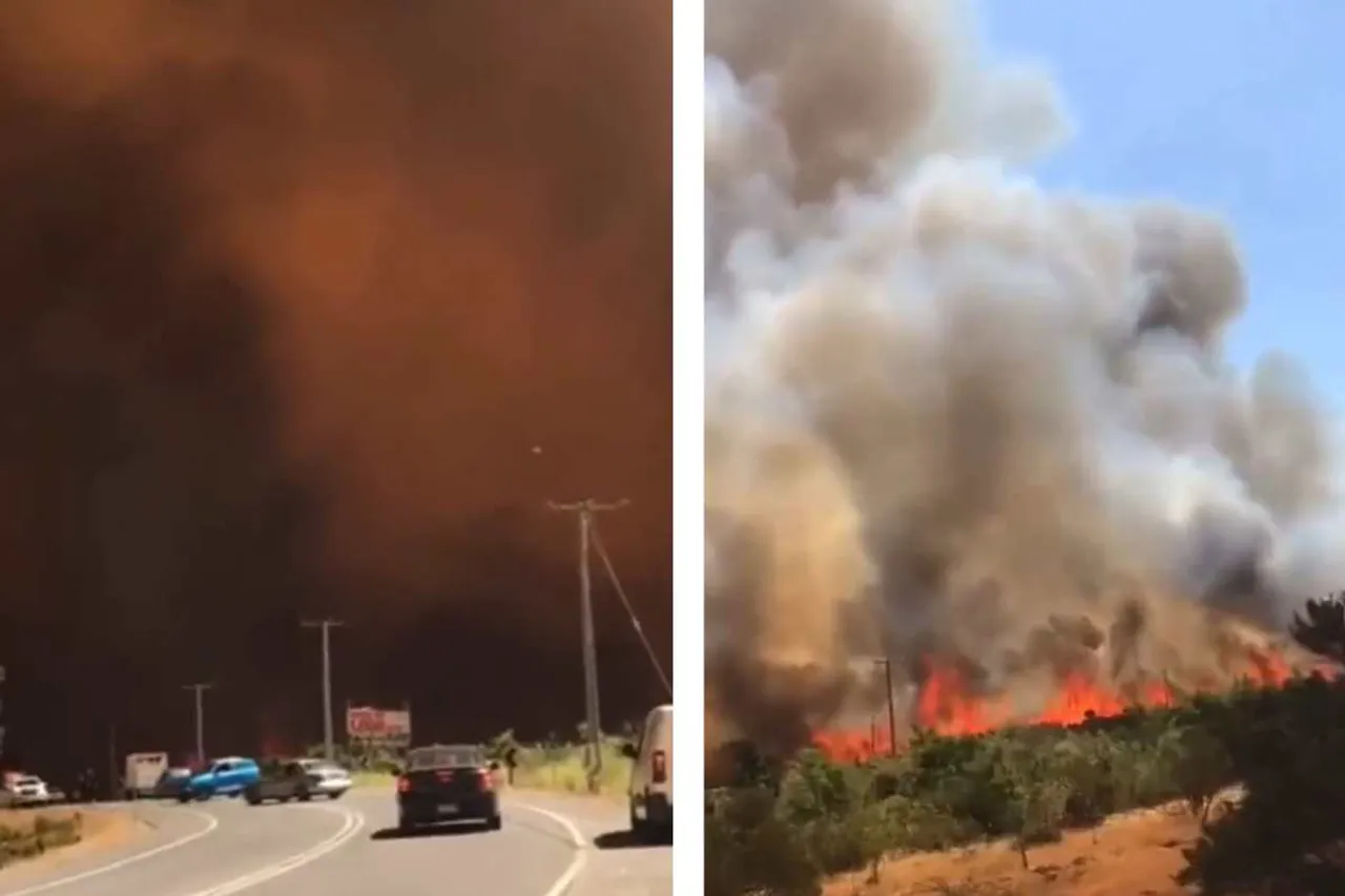 chile wildfires