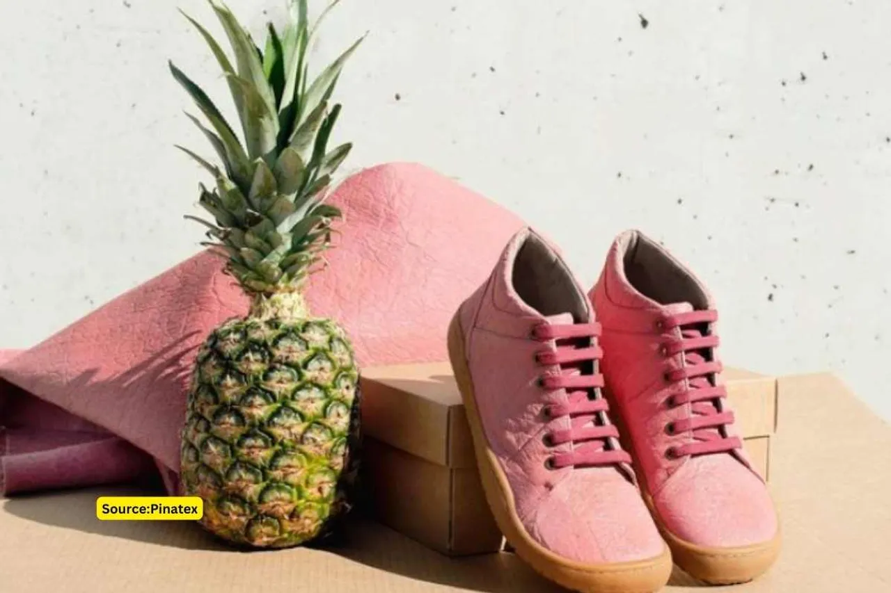 pinatex story of a vegan leather