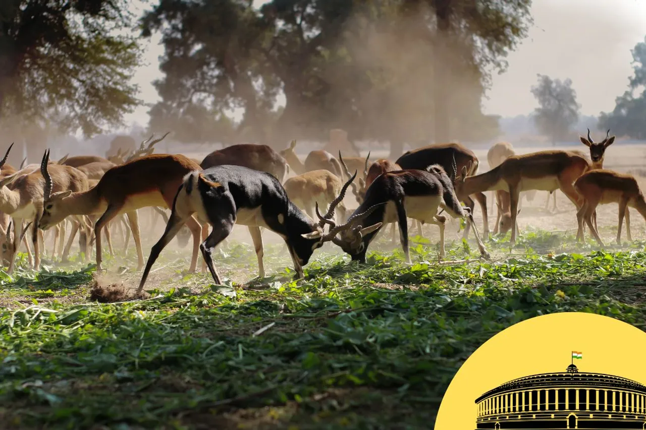 wildlife protection bill rajyasabha