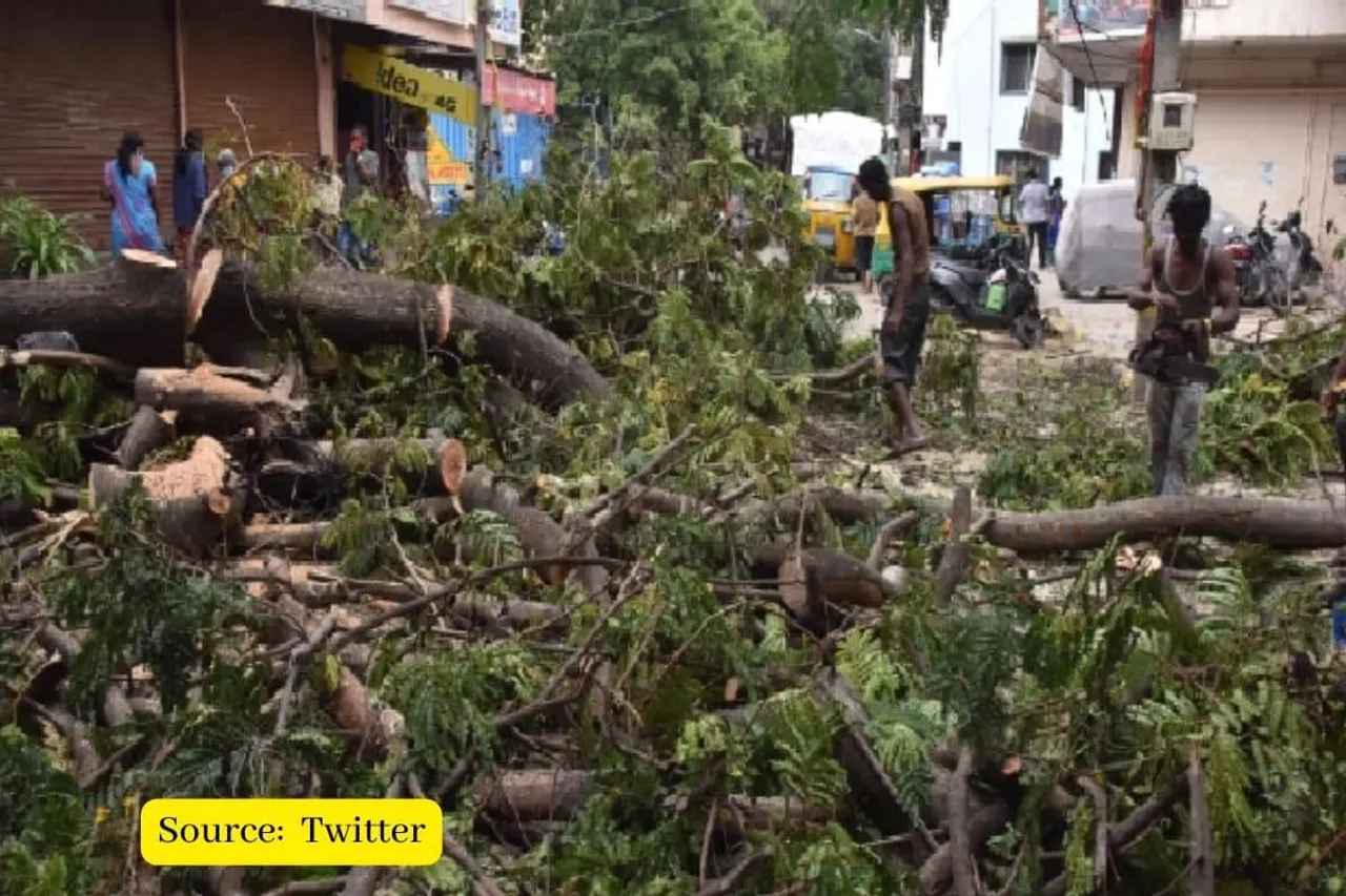 Why are people in Bengaluru against the widening of Sankey Road?