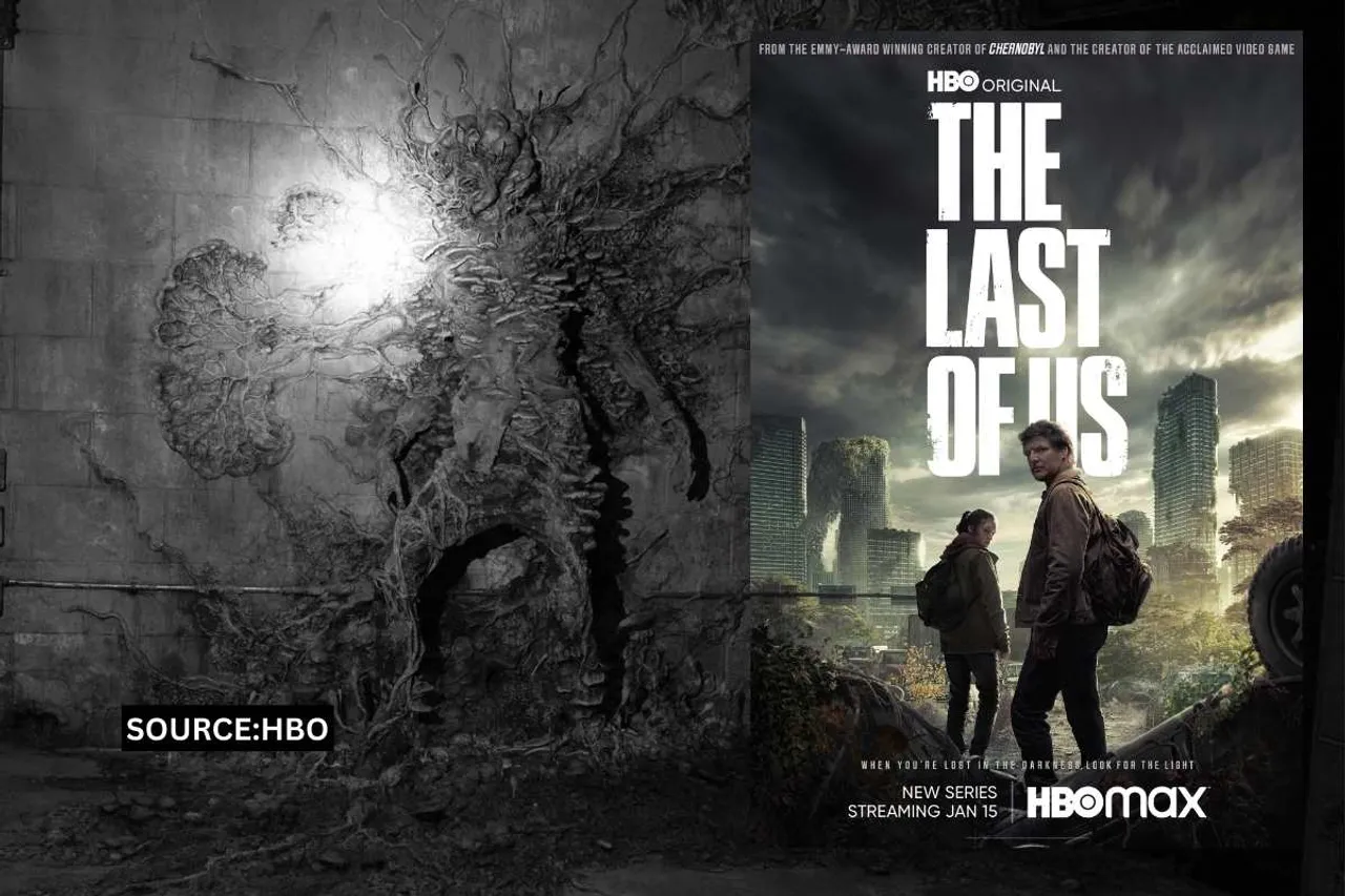 the last of us fungus