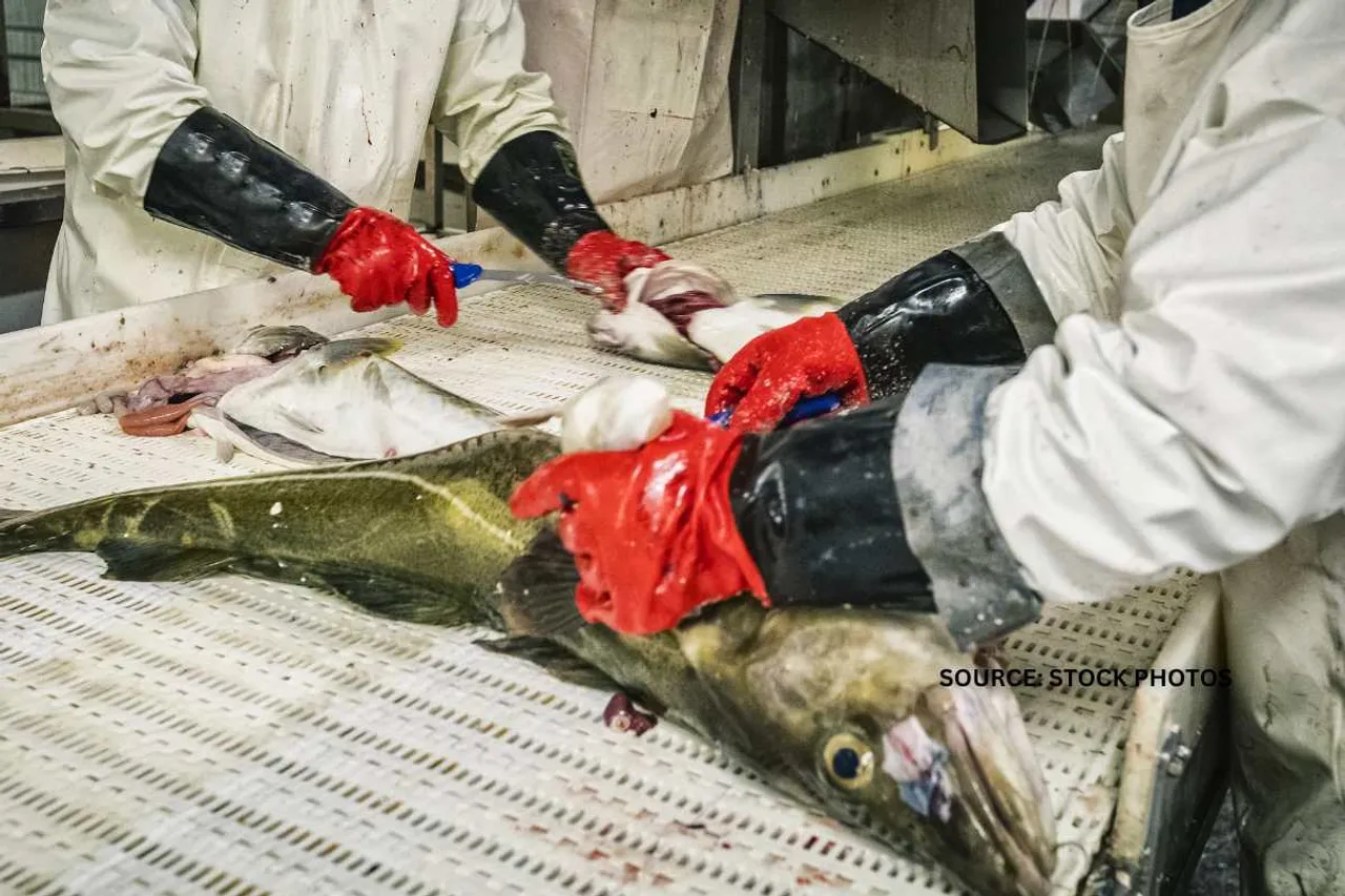 FMPO Industry affect on marine ecosystem