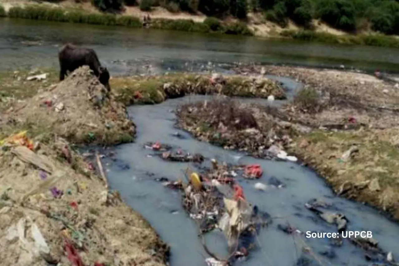sai river pollution