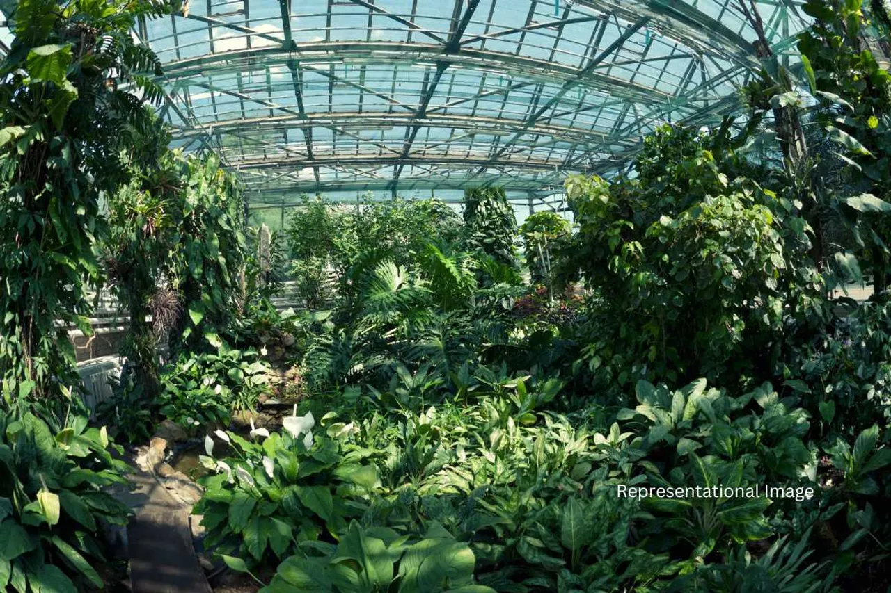 Doddasaggere botanical garden