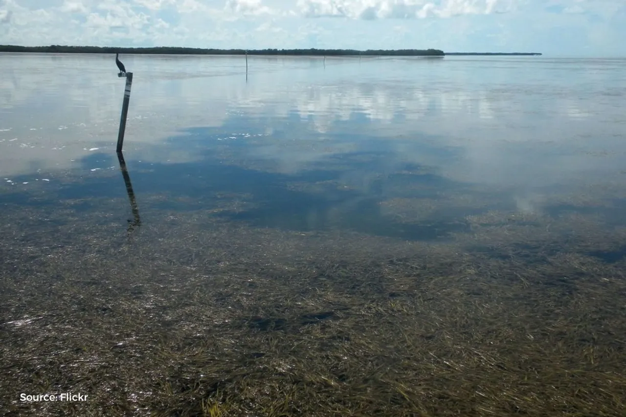 India's major lakes in danger: Alarming drying threatens water security