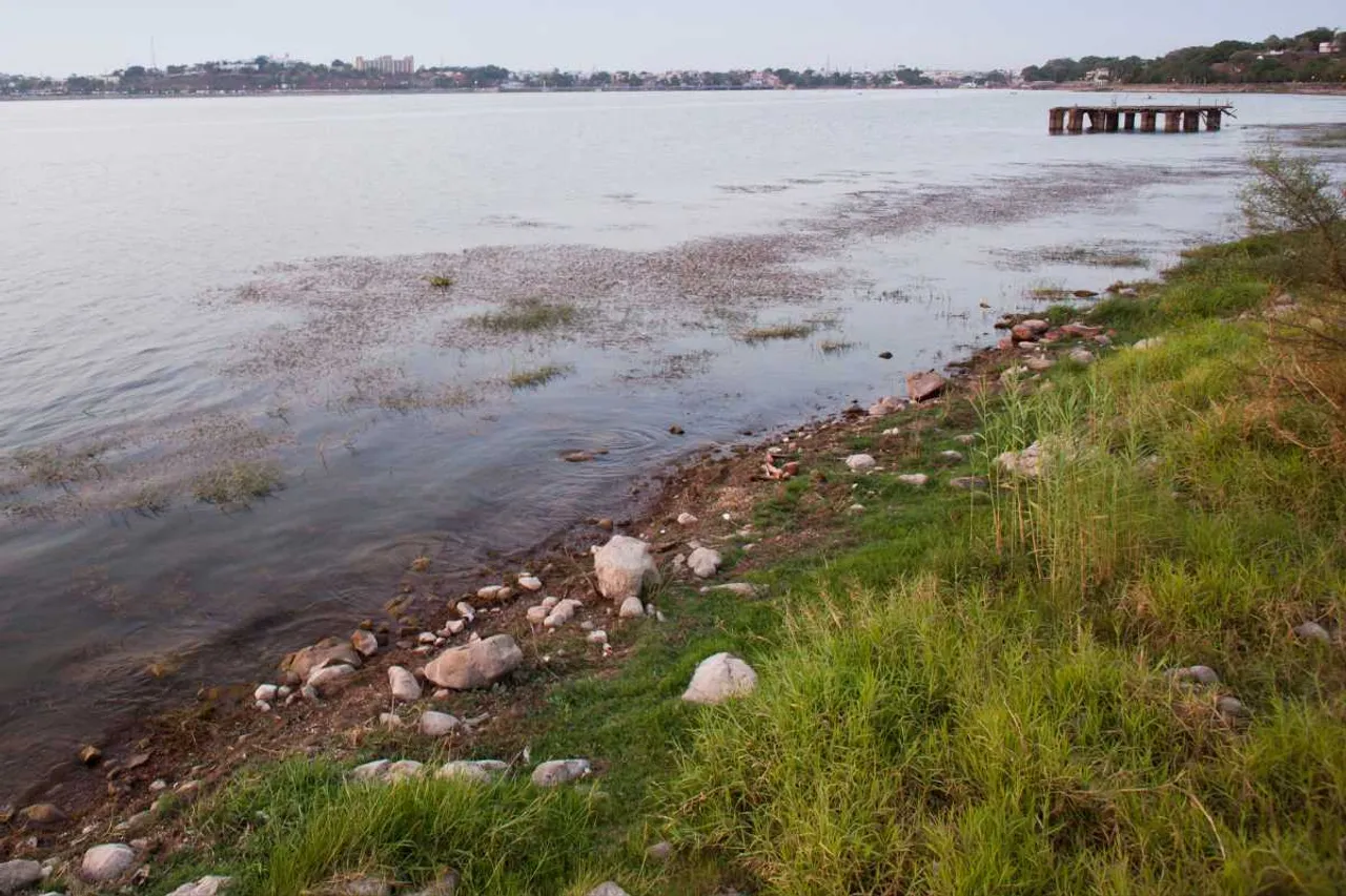 bhopal microplastics research