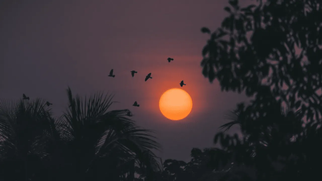 From 1.5°C to 2.0°C: Cooling degree days soar, raising climate concerns