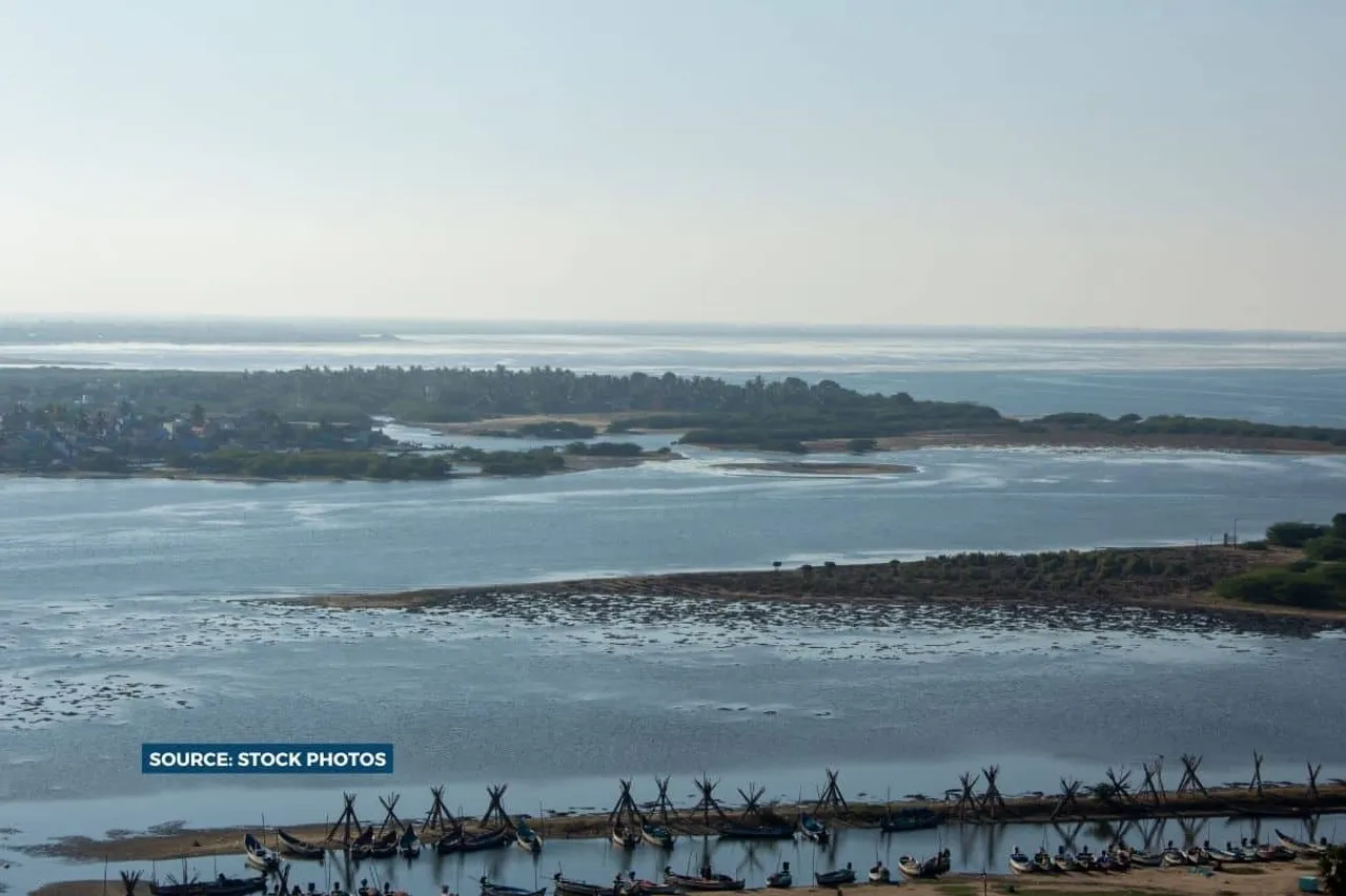 Pulicat Lagoon importance