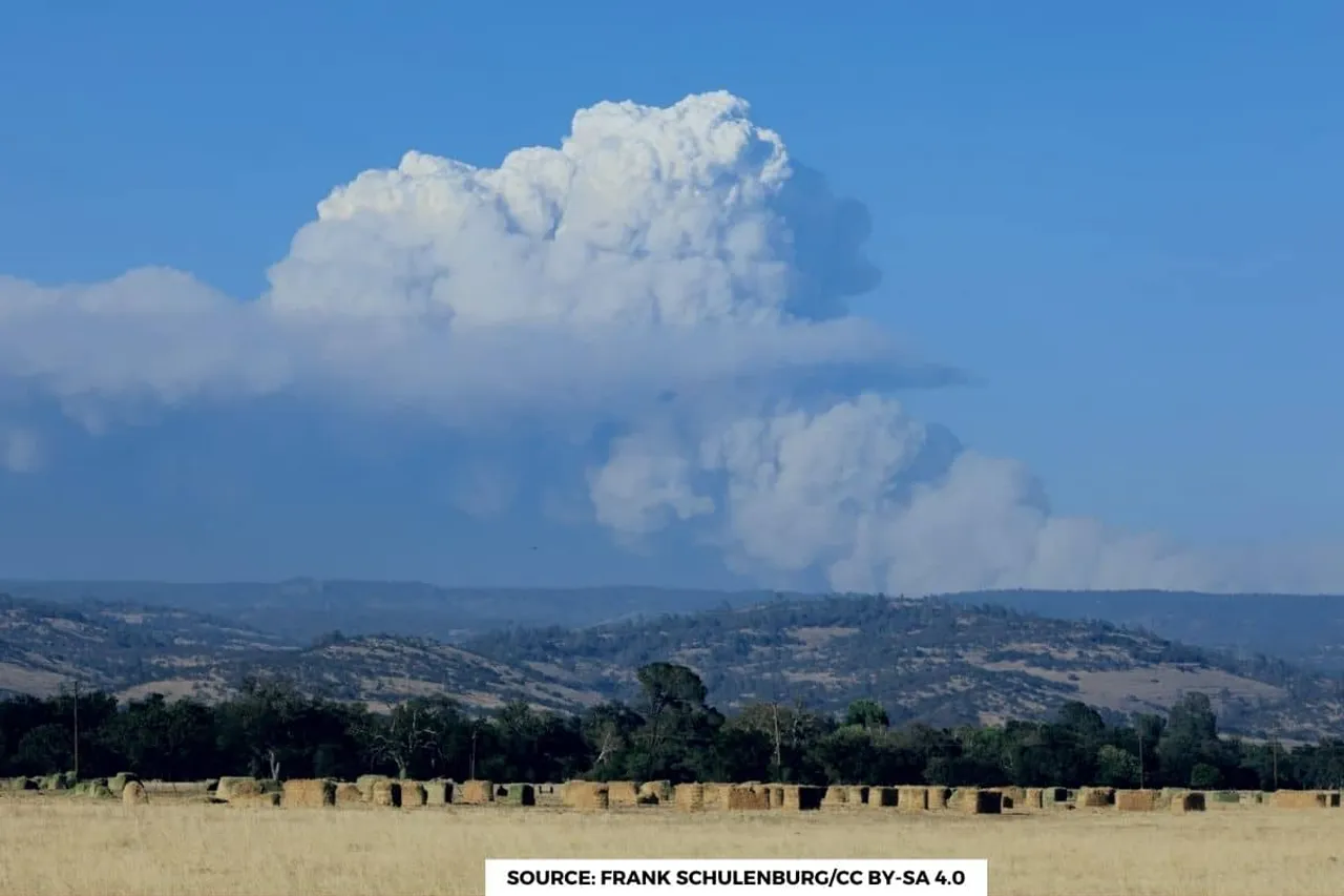 Last 12 months were hottest world experienced in 125,000 years