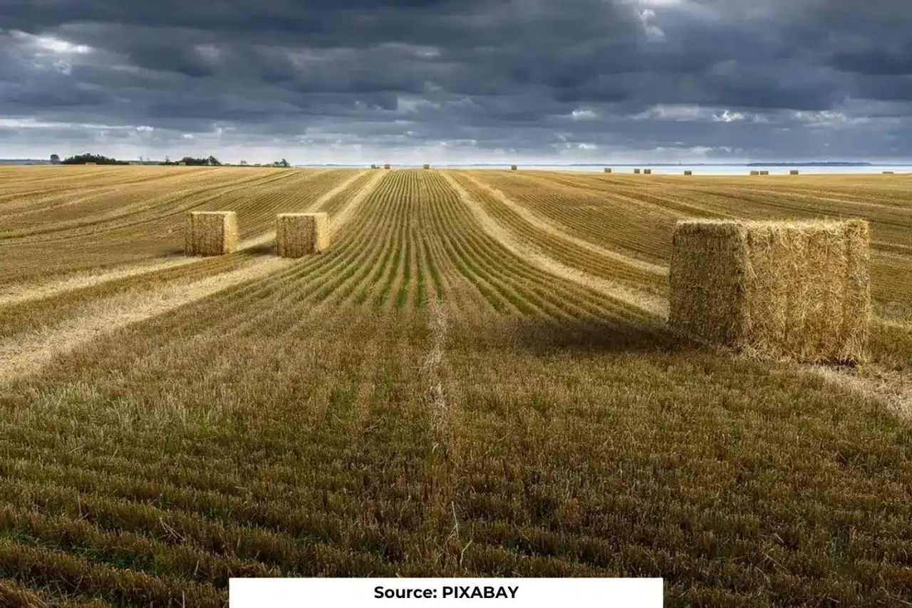 80% of land humans need to survive threatened by their own activities